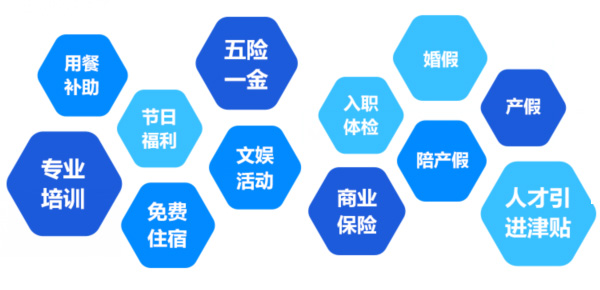提供全面、、系统、、专业的培训和辽阔的<br>职业发展空间和提升机遇